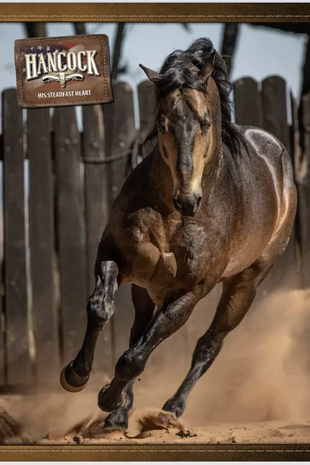 Cavalo Quarto de Milha — HIS STEADFAST HEART